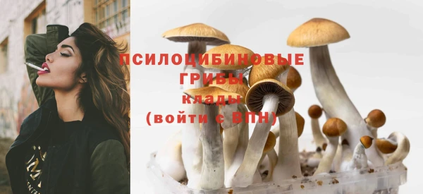 бутират Пересвет