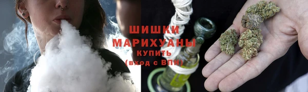 винт Белокуриха