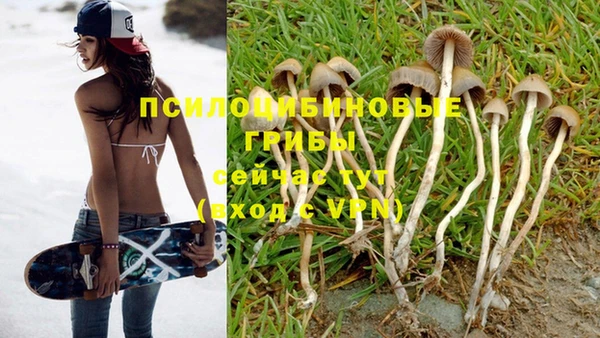 кокс Балабаново