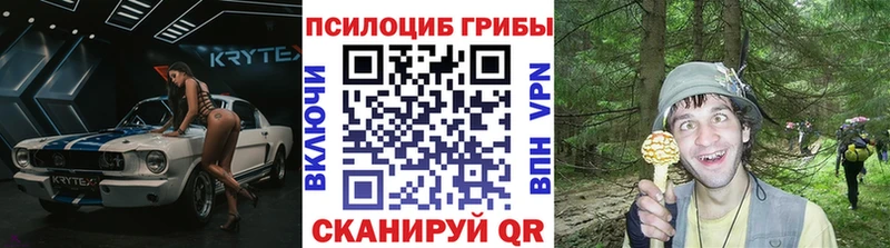 Галлюциногенные грибы прущие грибы  купить  сайты  Тарко-Сале 